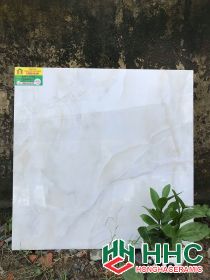 Gạch lát nền catalan 60x60 K176069